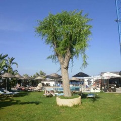 Aquarius Beach Hotel Стандартный номер с различными типами кроватей
