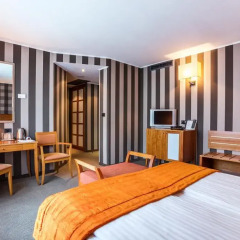 BEST WESTERN City Hotel, BW Premier Collection 4* Стандартный номер с двуспальной кроватью фото 8