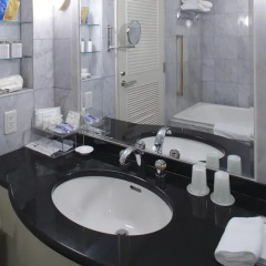 Daiichi Hotel Ryogoku 3* Стандартный номер с двуспальной кроватью фото 11