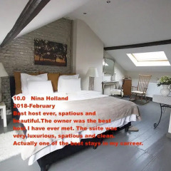 Отель B&B D&F Suites Brussels в номере фото 2