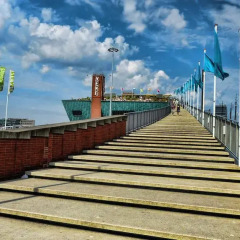 Отель Plantage Hortus Apartments Нидерланды, Амстердам - отзывы, цены и фото номеров - забронировать отель Plantage Hortus Apartments онлайн приотельная территория фото 2