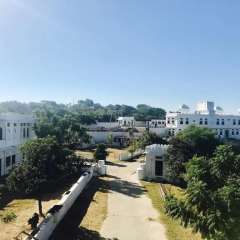 Отель Palace Anjali балкон