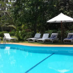Отель Dalmanuta Gardens 3* Номер Делюкс с различными типами кроватей фото 30