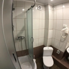 Гостиница Нивки 3* Номер Делюкс с разными типами кроватей