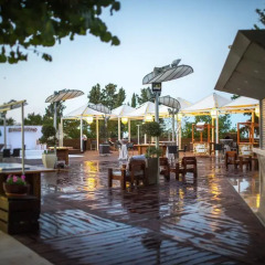 Ramat Rachel Resort Израиль, Иерусалим - 1 отзыв об отеле, цены и фото номеров - забронировать отель Ramat Rachel Resort онлайн гостиничный бар