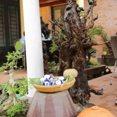 Отель The Grass Vy Homestay Хойан фото 7