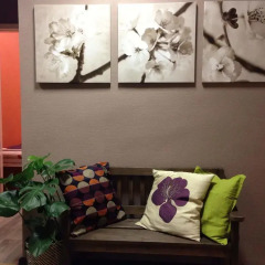 Mango Women Hostel (хостел для женщин) комната для гостей
