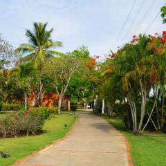 Отель Gusto Tropical Dependance Доминикана, Бока Чика - отзывы, цены и фото номеров - забронировать отель Gusto Tropical Dependance онлайн фото 8