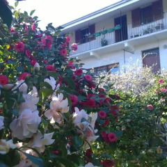 Отель B&B Casa Passito Италия, Шампорше - отзывы, цены и фото номеров - забронировать отель B&B Casa Passito онлайн фото 18