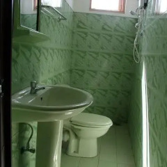 Отель S&S Guest Inn ванная фото 2