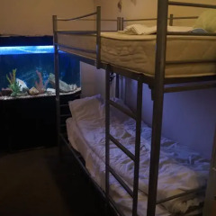 Chicago Hostel Кровать в мужском общем номере с двухъярусной кроватью фото 7