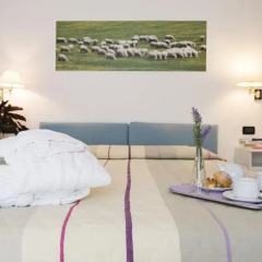 Отель Albergo Angiolino 3* Стандартный номер