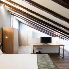 Отель Petit Palace Plaza del Carmen 4* Стандартный номер с различными типами кроватей фото 28