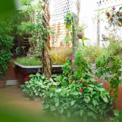 Отель Red Ceramics Homestay 2* Кровать в общем номере с двухъярусной кроватью фото 4