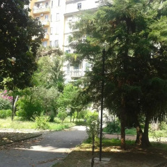 Отель Bed and Breakfast Alba Garden фото 3