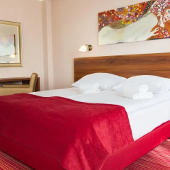 Hotel Katowice 3* Студия Делюкс с различными типами кроватей фото 2