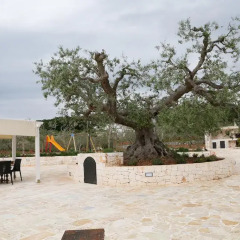 Отель Trullo Montetrecarlini Мартина Франка фото 2