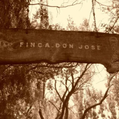 Отель Cabañas Finca Don José Сан-Рафаэль приотельная территория