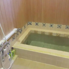Отель Donaludo Pension Айдзувакамацу бассейн фото 2