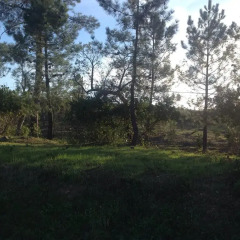 Отель Casa De Campo Cantinho Da Serra