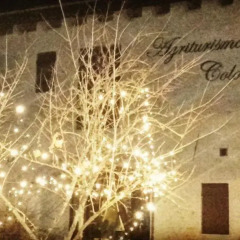 Отель Agriturismo-B&B Colombera интерьер отеля