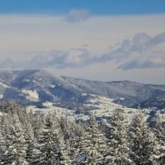 Отель Borovets Болгария, Боровец - отзывы, цены и фото номеров - забронировать отель Borovets онлайн фото 2