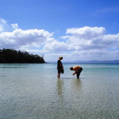 Bruny Island Escapes and Hotel Bruny пляж
