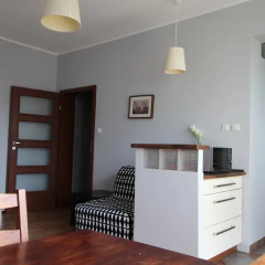 Апартаменты Gdańsk Old Town Apartments удобства в номере