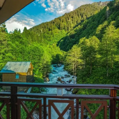 Ayder Hasimoglu Hotel 3* Стандартный номер фото 9