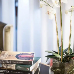 Hotel Burchianti 3* Стандартный номер с различными типами кроватей фото 11