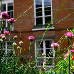 Отель B&B Lit De Senne Бельгия, Брюссель - отзывы, цены и фото номеров - забронировать отель B&B Lit De Senne онлайн фото 4