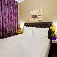 Spa Hotel Sveti Nikola 4* Стандартный номер фото 4