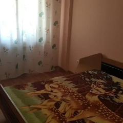 Гостиница Solika 4 в Иркутске отзывы, цены и фото номеров - забронировать гостиницу Solika 4 онлайн Иркутск комната для гостей фото 2