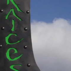 Отель Hostal Raices