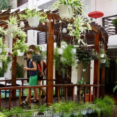 Long Life Riverside Hotel детские мероприятия