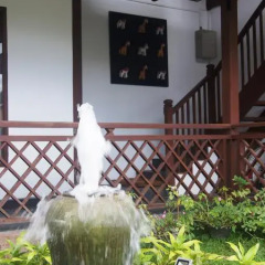The White Avenue Hotel фото 6