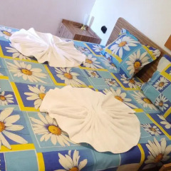 Отель Burgas Rooms and Studios удобства в номере фото 2