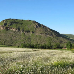 Отель Geologist's Home Армения, Одзун - отзывы, цены и фото номеров - забронировать отель Geologist's Home онлайн