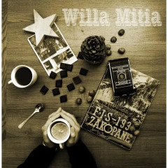 Отель Willa Mitia Закопане в номере фото 2
