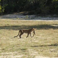 Отель Pardus Seek спортивное сооружение