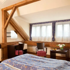 Chateau Hotel Liblice 4* Номер Бизнес фото 4