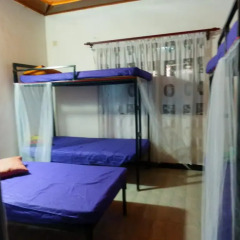 New negombo beach hostel Кровать в общем номере с двухъярусной кроватью фото 4