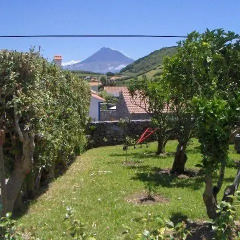 Отель Quinta do Canto Португалия, Орта - отзывы, цены и фото номеров - забронировать отель Quinta do Canto онлайн фото 3