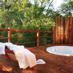 Отель Addo Elephant Back Safaris and Lodge Южная Африка, Аддо - отзывы, цены и фото номеров - забронировать отель Addo Elephant Back Safaris and Lodge онлайн спа фото 2