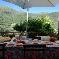 Отель Casa do Moleiro Португалия, Амаранте - отзывы, цены и фото номеров - забронировать отель Casa do Moleiro онлайн питание фото 3