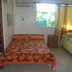 Отель Pension Armelle Bed & Breakfast Tahiti Французская Полинезия, Пунаауиа - отзывы, цены и фото номеров - забронировать отель Pension Armelle Bed & Breakfast Tahiti онлайн комната для гостей фото 4