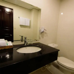 Hong Vy 1 Hotel 3* Номер Делюкс с различными типами кроватей фото 3