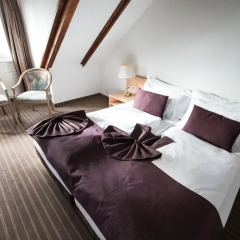 Olympia Hotel Zurich 3* Полулюкс с различными типами кроватей фото 13