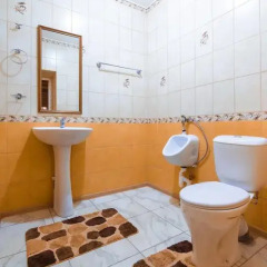 Гостиница Шансон 3* Люкс разные типы кроватей фото 14