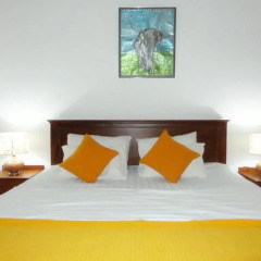 Отель Wadduwa Beach Villa комната для гостей фото 4